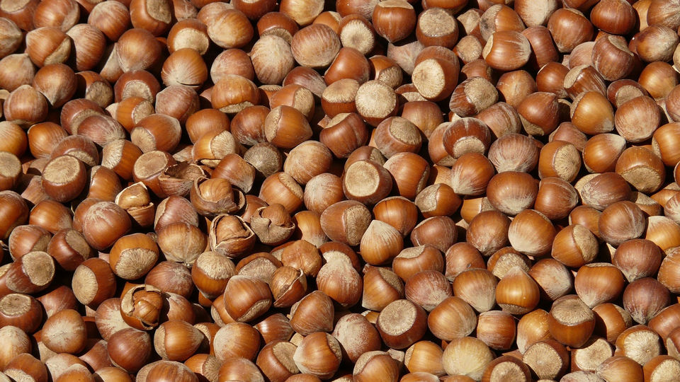 brązowy