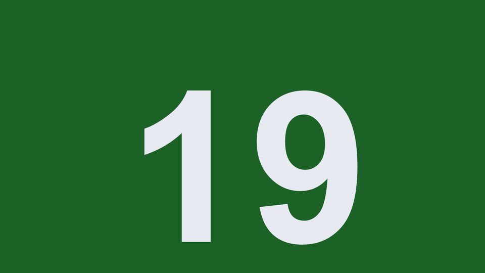 19