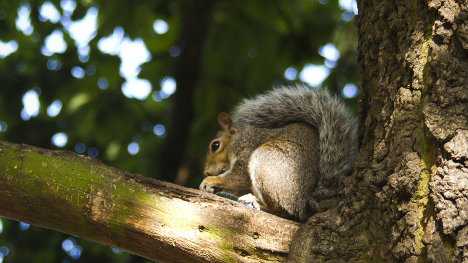 Czy nie jemy obiadu?