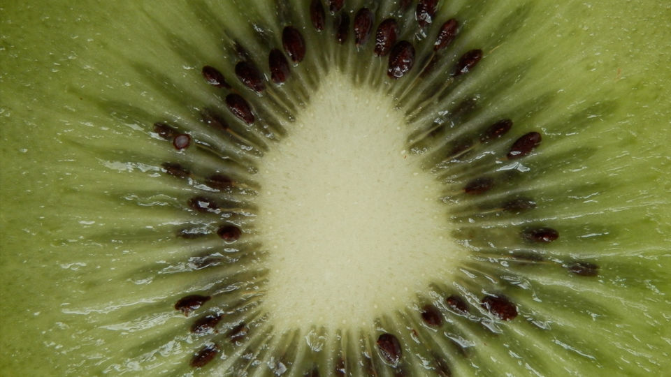 kiwi (l.mn.)