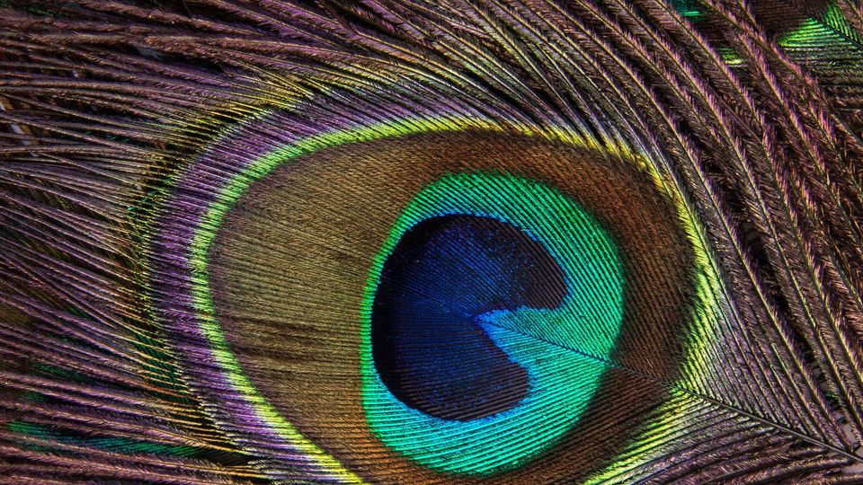 łatwo, łatwy, lekki, lekko