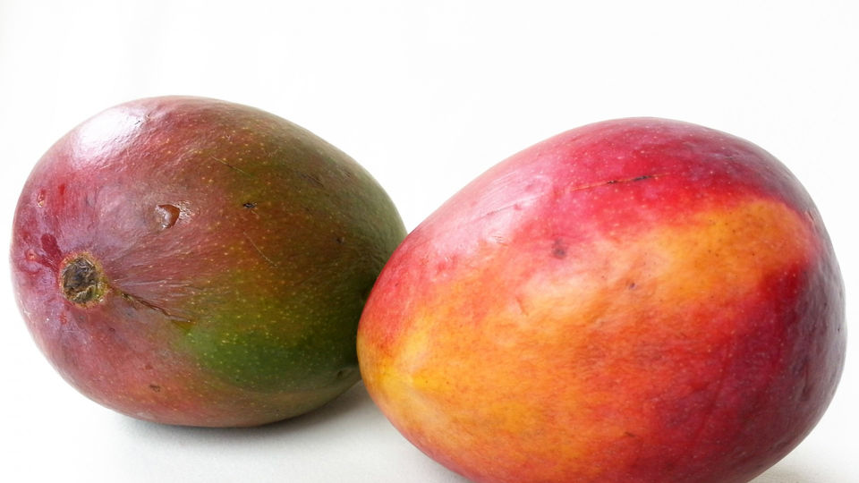 mango