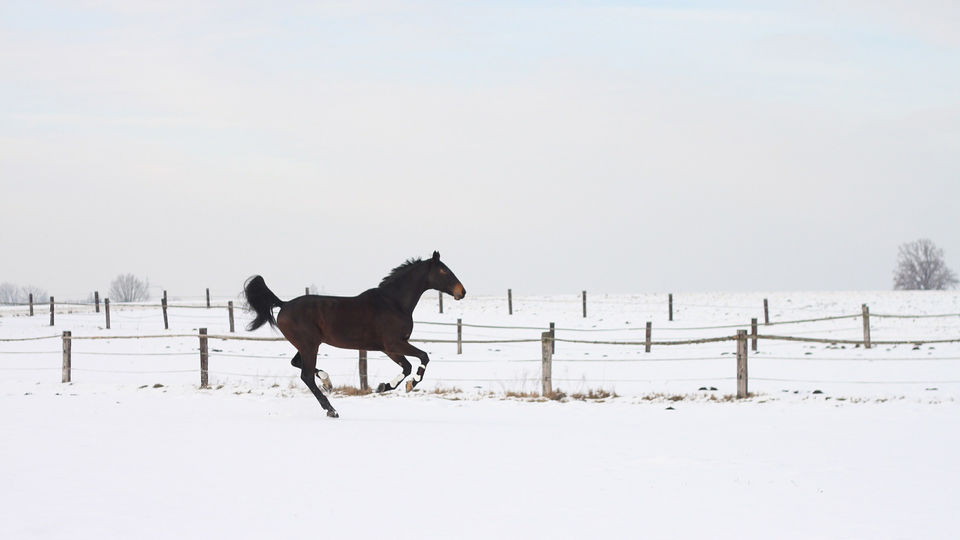 niespokojny, dynamiczny