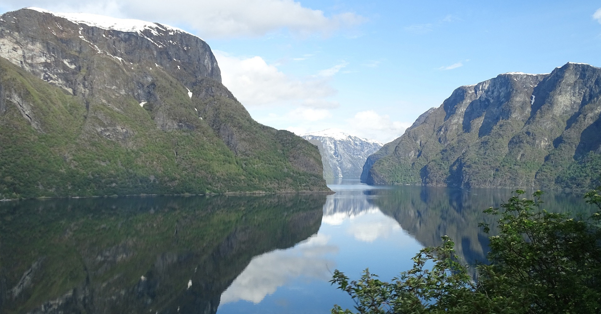 Nauja języka norweskiego