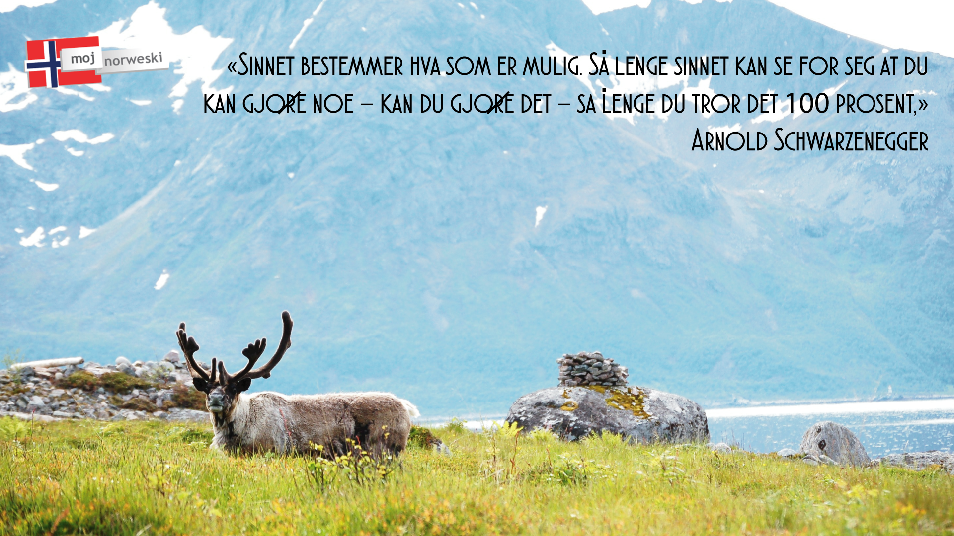 Kursy języka norweskiego